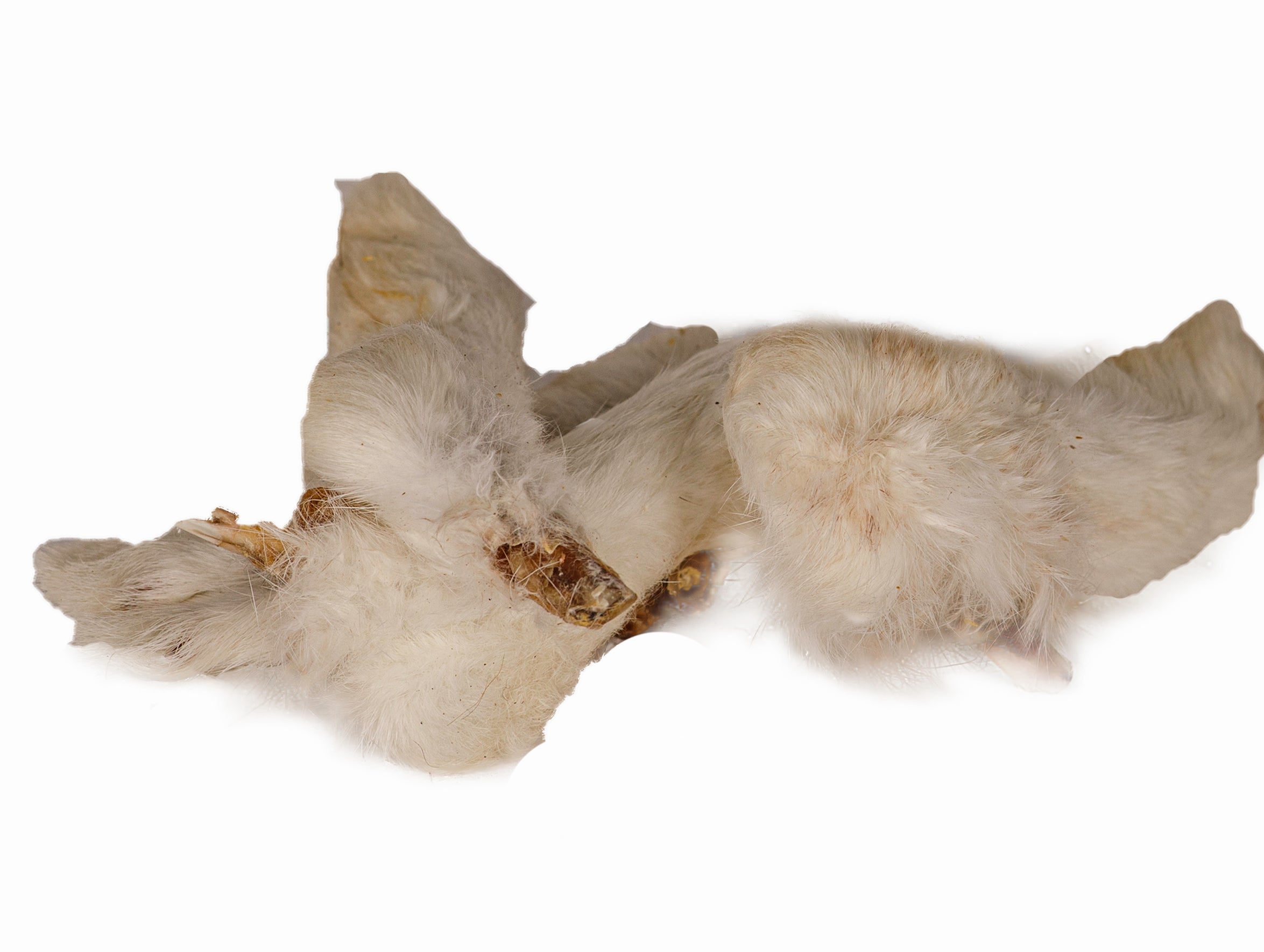 Primal Rabbit feet – naturalworldpets